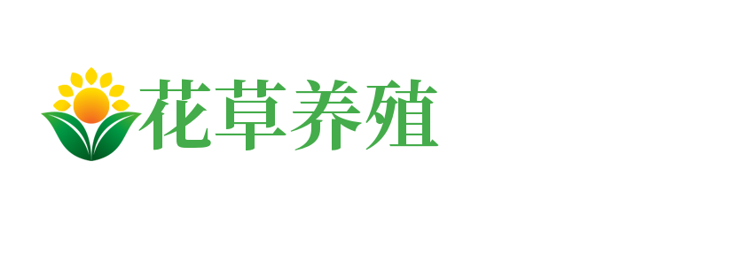 物流运输|南通物流运输|南通特兹特特物流运输有限公司
